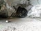 cave inside the mountain used by primitive prehistoric men as a