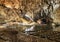 Cave lod stalactite and stalagmite with lighting tourist and raf