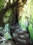 Cave on Otter Trail at Tsitsikamma National Park, South Africa