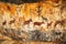 Cave painting. Cave Wall Chronicles. Stories Told Through Primitive Ancient Art. Old rock paintings of primitive people