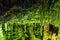 Cave rock formations are stalactites and stalagmites in colorful light. The miracle of the formation of stalagmites in the dark