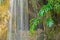 Cave, waterfall and aquatic plant in Parque Genoves, Cadiz