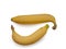 Cavendish banana clipping path