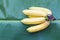 Cavendish banana fruit.