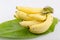 Cavendish Banana (Musa (AAA group) Kluai Hom thong thai name.