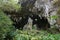 Cavern entry stalactites and stalagmites Rurutu