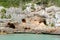 Caves on the beach Cala Ferrera, Mallorca. Spain