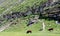 Caves in an escarpment in Orhei National Park, Moldova, part of the Old Orhei Orthodox Cave Monastery