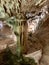 The Caves of Genova (Cuevas de Génova), Mallorca, Balearic Islands, Spain.