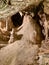 The Caves of Genova (Cuevas de Génova), Mallorca, Balearic Islands, Spain.