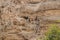 Caves of hermits in the monastery of St. George Hosevit Mar Jaris in Wadi Kelt near Mitzpe Yeriho in Israel