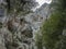 caves in limestone rock of Gola Su Gorropu gorge with green bush and trees. Famous tourist hiking destination at