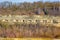 Caves in the limestone wall of the mount surrounded by bare trees