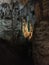 Caves of Nerja, Spain