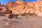 Caves in sandstones, columns and ruins of the ancient Bedouin city of Petra, Jordan