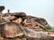 Caves of Udayagiri