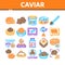 Caviar Seafood Product Collection Icons Set Vector