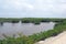 Caye mangroves