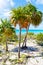 Cayo largo beach Cuba wtih palms