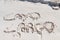 Cayo Largo written on the sand