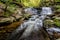 Cayuga Falls, Ricketts Glen State Park, PA