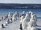 Cayuga Lake frozen pier pilings and waterfowl