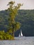 Cayuga Lake with sailboat heading towards Ithaca