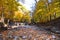 Cayuga Lake tributary dry creek bed at Great Gully waterfall in autumn