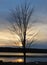 Cayuga Lake Winter Tree Sunset Silhouette in FingerLakes