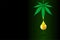 CBD hemp oil of medical cannabis poster concept. Marijuana leaf extract drop natural product placard design template