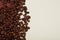 Ccoffee beans on beige and brown background