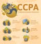 CCPA, California Consumer Privacy Act. Protection of personal data. Vector design template of website, banner or poster