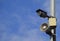 CCTV camera and loudspeaker alarm on a pole against a blue sky.