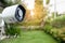 CCTV Closed circuit camera, TV monitoring in garden at home, security system concept
