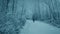 CCTV Man Walks On Trail Through Snowy Woods