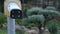 CCTV security camera operating outdoor