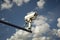 CCTV surveillance and security camera