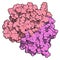 CD3 protein (epsilon/delta ectodomain dimer). CD3 is present on the surface of T-lymphocytes and is required for T-cell activation