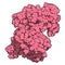 CD38 (ectodomain fragment) enzyme. Target of the monoclonal antibody drug daratumumab, used for the treatment of multiple myeloma