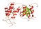 CD38 (ectodomain fragment) enzyme. Target of the monoclonal antibody drug daratumumab, used for the treatment of multiple myeloma