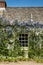 Ceanothus around a cottage window