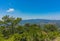 Cedar and beautiful view of the Troodos Mountains, Cyprus. Sunny summer day