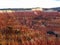 Cedar Breaks National Monument landscape