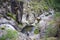 Cedar Creek Rock Pools Australia