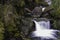 Cedar Creek Waterfall in the Opal Creek Wilderness area