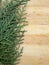 Cedar cypress leaf line on wooden background