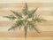 Cedar cypress leaf star shape on wooden background
