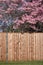 Cedar fence and flowering tree Gresham Oregon