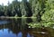 Cedar Lake in early summer on Chuckanut mountain