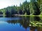 Cedar Lake in early summer on Chuckanut mountain